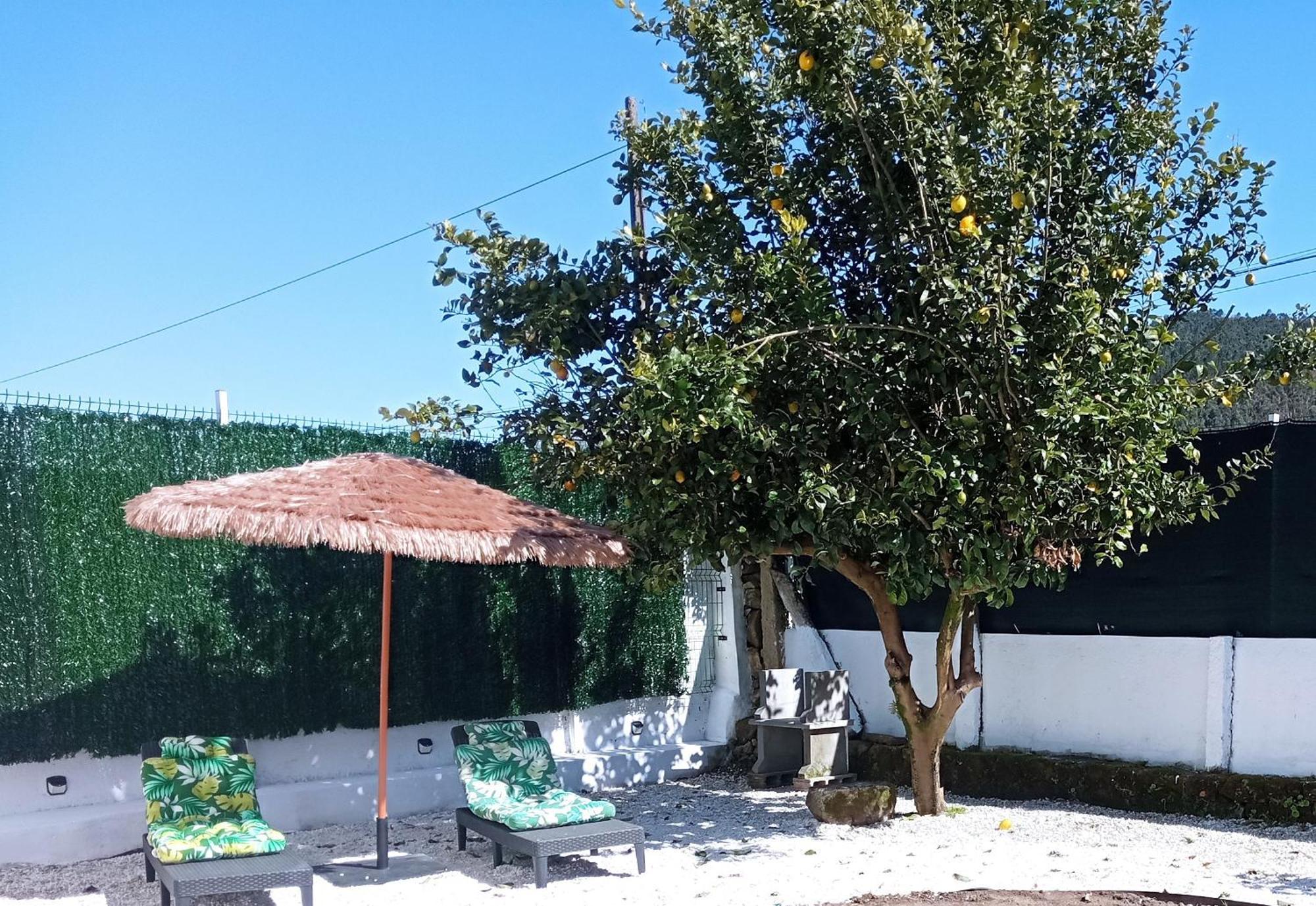 Casa Amelia 1ªp A 50 M Camino De Santiago Villa Padron Exterior photo